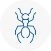 Ant Removals In Newport Shropshire