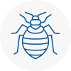 Bed Bug Extermination In Newport Shropshire