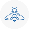 Bee Nest Removal Newport Shropshire