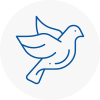Bird Prevention Newport Shropshire