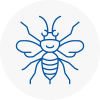 Newport Shropshire Hornet Nest Removals