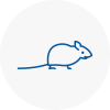 Mice Exterminators In Newport Shropshire