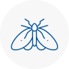 Moth Control Specialists In Newport Shropshire