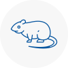 Rat Control Newport Shropshire