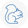 Newport Shropshire Rodent Removals